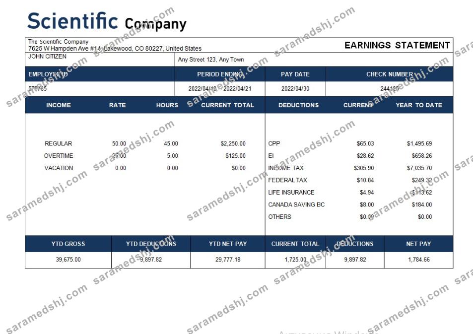 scientific company payroll statement in Word and PDF formats